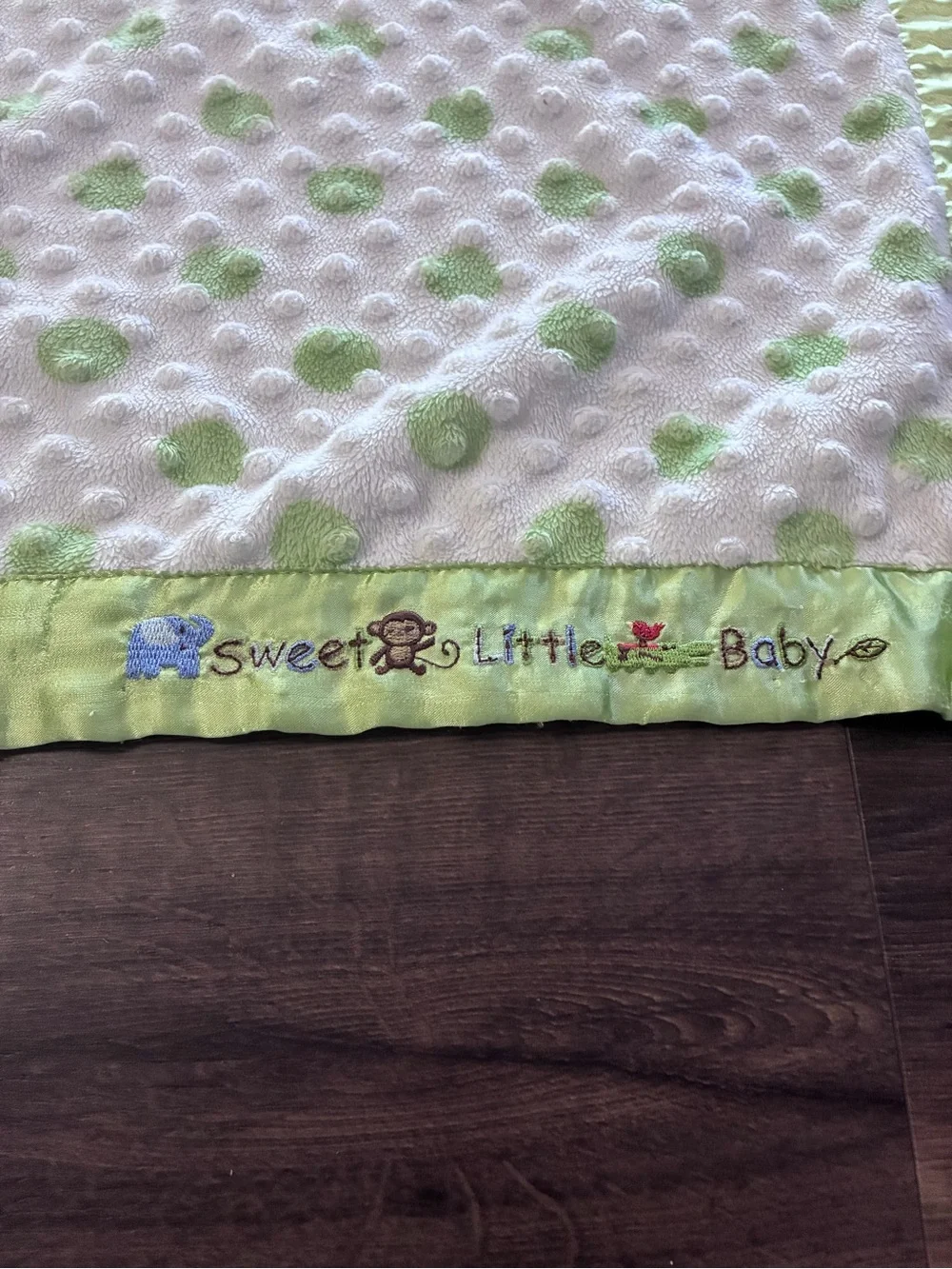 Carter’s Child of Mine Baby Blanket Green Polka Dot Minky Satin Edge 30x40